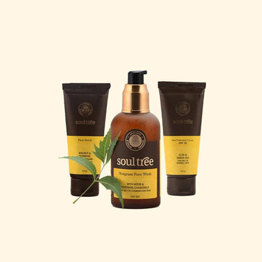 https://cdn.shopify.com/s/files/1/1857/6931/products/6NXDCjbTVs.jpg?v=1629980492